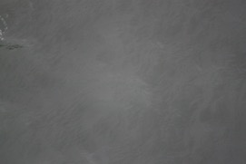 Missing Picture